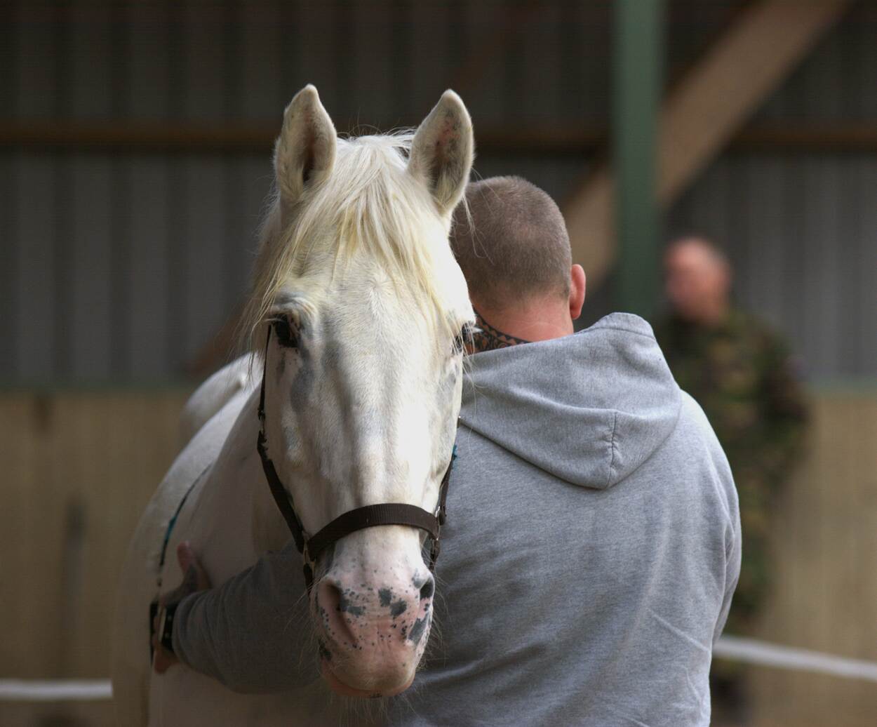 Nieuwe remedie voor veteranen met PTSS